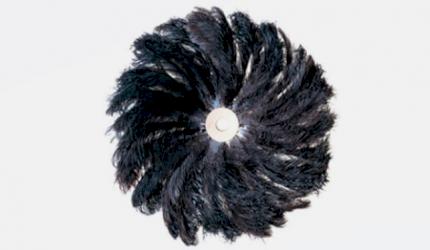 Raspall circular plomes d'estruç