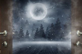 cepillo burlete para puertas