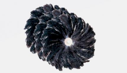 Raspalls plomes d\'estruç