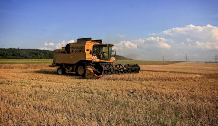 cepillos para la agricultura